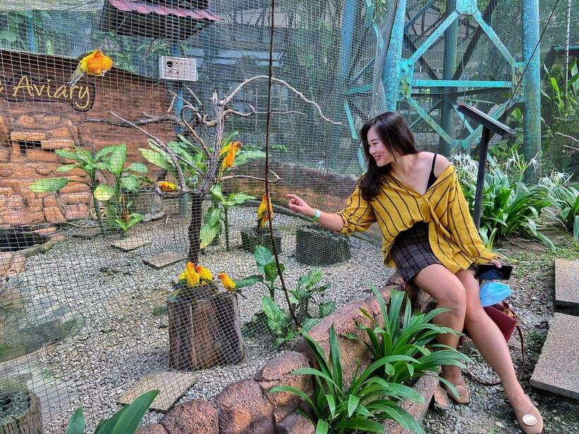 Kuala Lumpur: Bird Park Day Ticket & 1-Way Transfer - Who this bird park day is best for