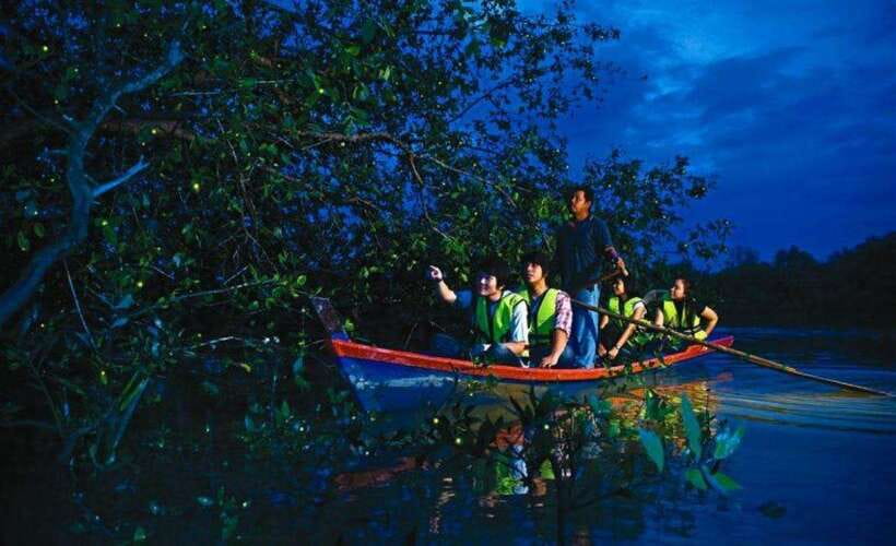 Kuala Lumpur: City Sights, Batu Caves and Fireflies Day Trip - How this 9-hour KL day strings it all together