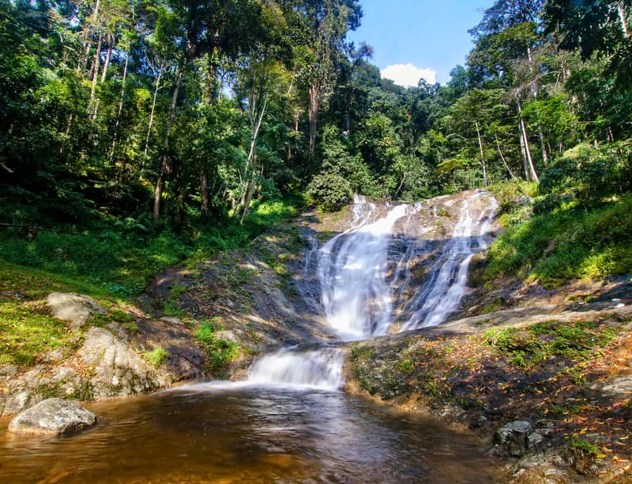 Kuala Lumpur: Customize Your Cameron Highlands Itinerary - Key highlights at a glance