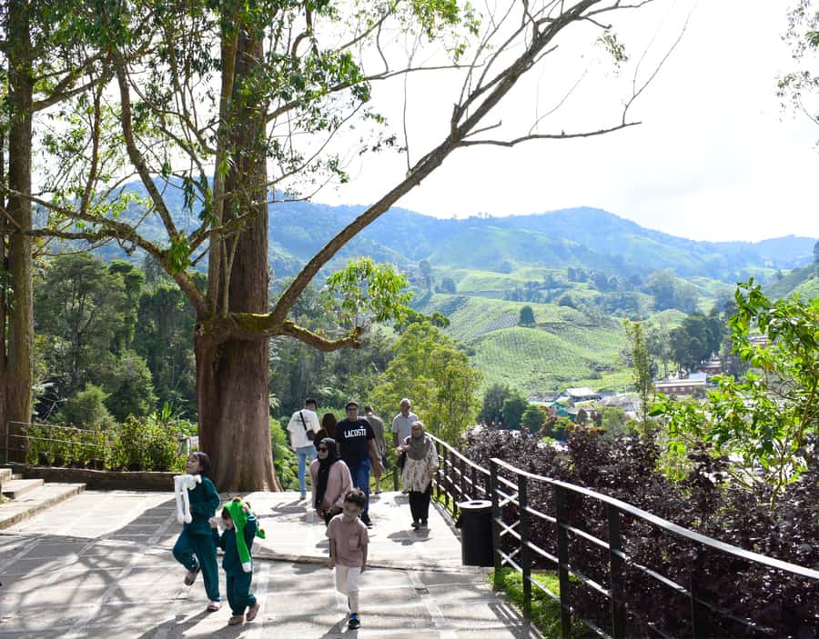 Kuala Lumpur: Customize Your Cameron Highlands Itinerary - Who should book this Cameron Highlands private itinerary