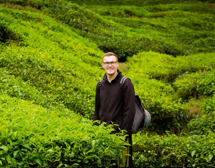 Kuala Lumpur: Customize Your Cameron Highlands Itinerary - How a private Cameron Highlands day stays flexible (and still works)