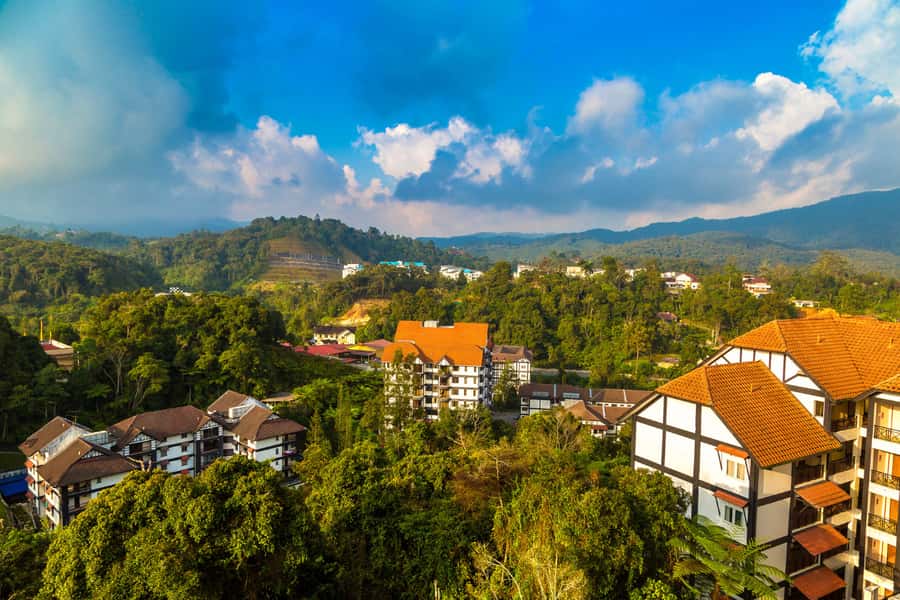 Kuala Lumpur: Customize Your Cameron Highlands Itinerary - Price and value: when private makes sense