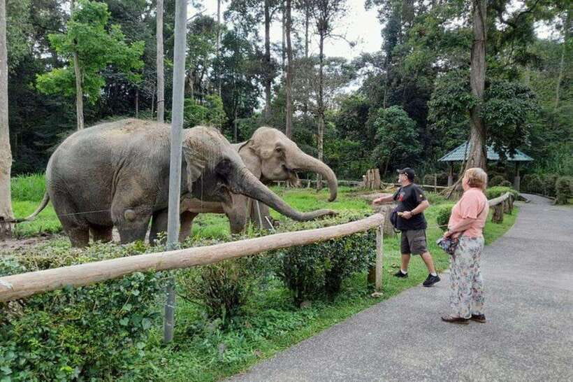 Kuala Lumpur: Kuala Gandah and Batu Caves Private Trip - Batu Caves in about an hour, with 270 steps of reality