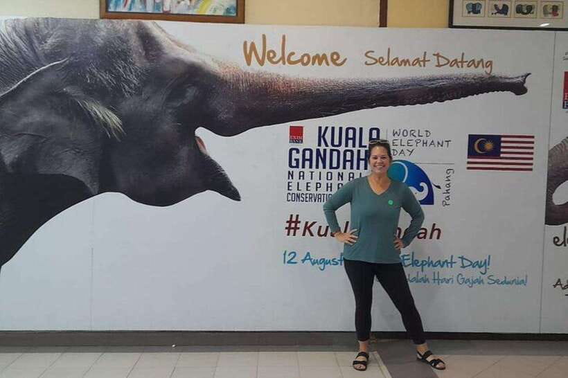 Kuala Lumpur: Kuala Gandah and Batu Caves Private Trip - Elephant Sanctuary Kuala Gandah: rescued elephants up close