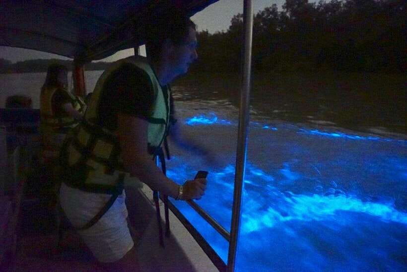 Kuala Lumpur: Kuala Selangor Fireflies and Blue Tears Tour - Price and Value: Is $79 Worth It?