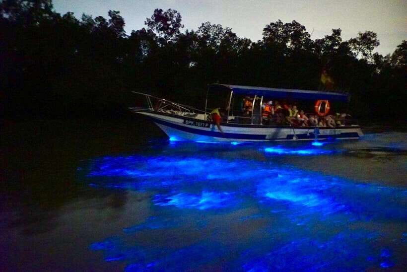 Kuala Lumpur: Kuala Selangor Fireflies and Blue Tears Tour - Blue Tears Search: Mystical Glow, Real Conditions, No Guarantees