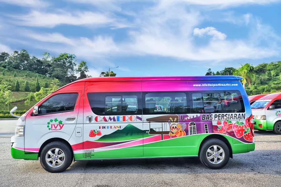 Kuala Lumpur: Sightseeing by Private Vehicle with Driver - Price and Value: What $81 Per Group Buys You