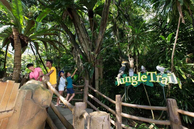 Kuala Lumpur: Sunway Lagoon Entry Ticket - Night Park from 18:00 to 23:00: lights, live performances, and rides under a new mood