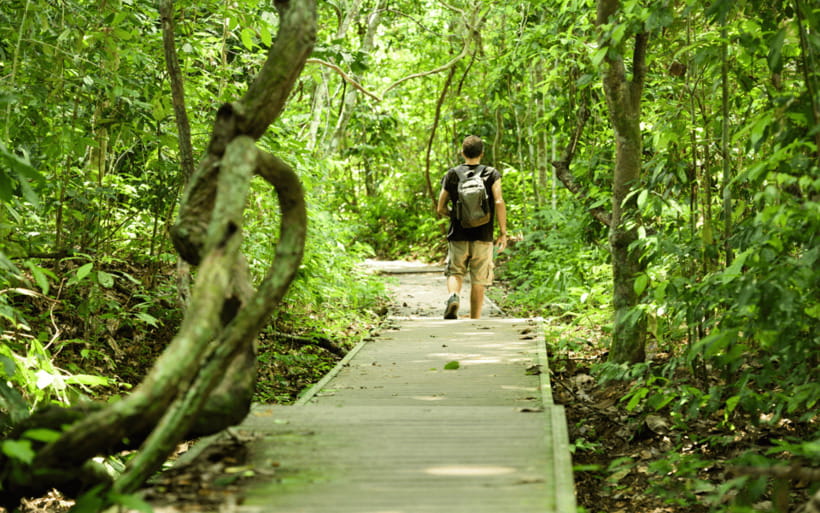 Kuala Lumpur: Taman Negara National Park Teras Waterfall - What the packed lunch and river time feel like on the clock