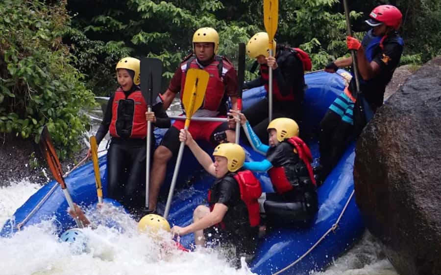 Kuala Lumpur: Taman Negara National Park Teras Waterfall - Walking the 550-meter canopy bridge in real rainforest air