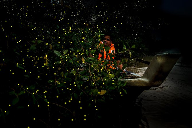 Kuala Selangor Fireflies - Batu Caves Temple- Malawati Hill DayTour With Dinner - A full day outside Kuala Lumpur: Batu Caves, Melawati Hill, and fireflies