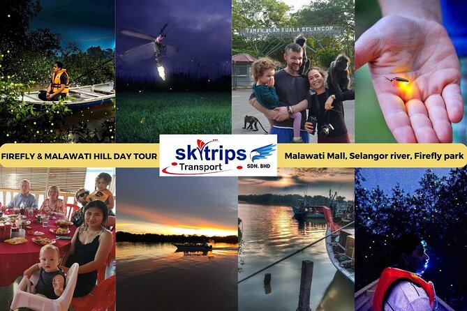 Kuala Selangor Fireflies - Batu Caves Temple- Malawati Hill DayTour With Dinner - Price and what you actually get for $91.93
