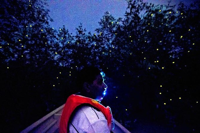 Kuala Selangor Fireflies Evening River Cruise from Kuala Lumpur - The value of paying $60: what you get for your evening