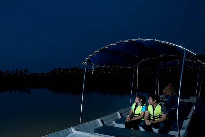 Kuala Selangor Firefly Blinkings Private Tour with Seafood Dinner - Key Highlights You Should Know