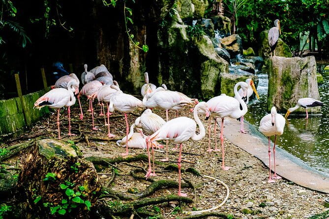 Kuala Selangor Sky Mirror Experience – Natural Mirror Beach Tour - The guided boat ride, marine life spotting, and what is actually included