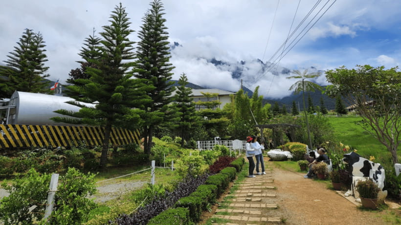 Kundasang: Day Tour with Desa Dairy Farm and Alpaca Club - Sabah City Mosque Stop: Architecture Without the Extra Detour