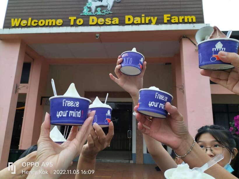 Kundasang : Poring Hot Spring + Desa & Meal Shared Tour - Desa Dairy Farm, the Little New Zealand-style stop: what you should do with your one hour