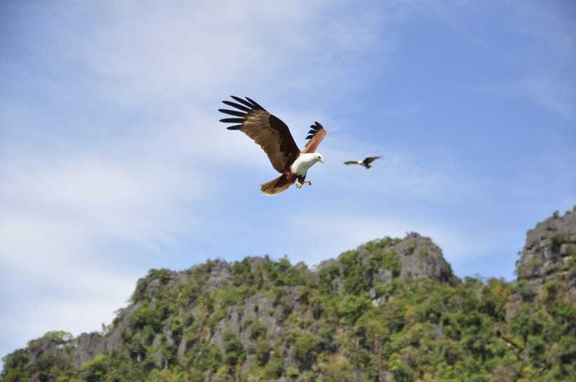 Langkawi: 6-Hour Private Island Highlights Tour - Who should book this Langkawi private island highlights tour