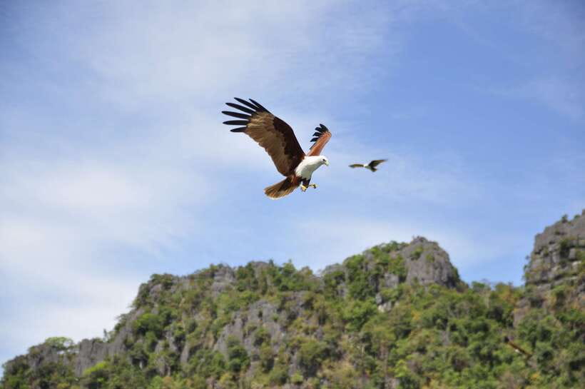 Langkawi: 6-Hour Private Island Highlights Tour - Pickup, WhatsApp meet-ups, and private-car comfort