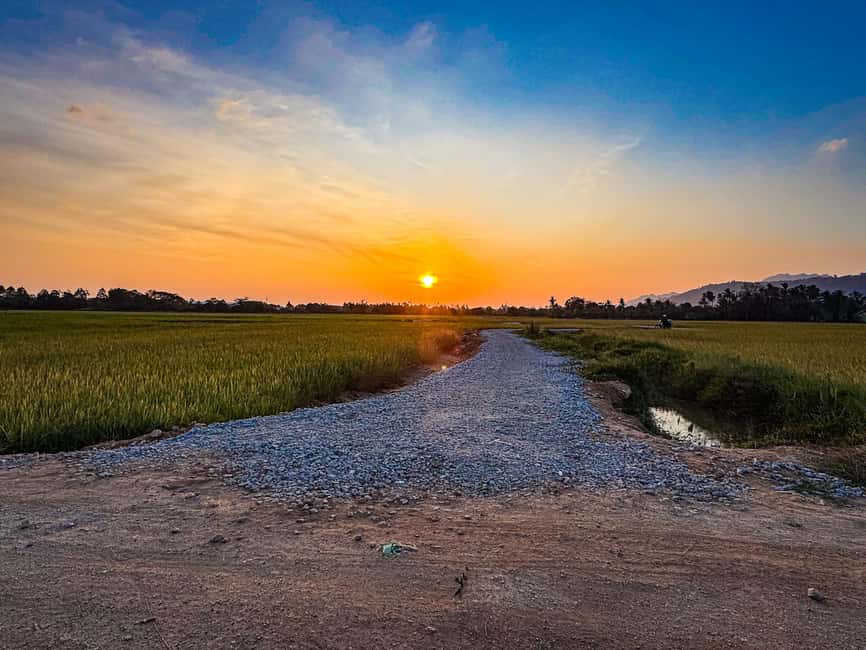Langkawi ATV Hilltop Golden Hour - Buffalo farm stop: a calmer side of Langkawi life