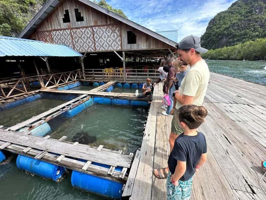 Langkawi: Boat Tour to Magic Island & Mangrove Cruise - Key things to know before you go