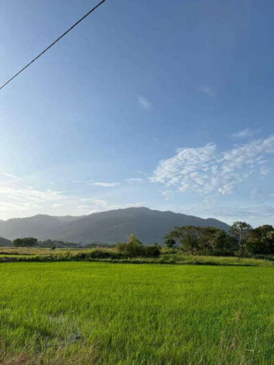 Countryside Bike Tour, Waterfall Swim & Dessert