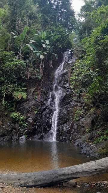 Langkawi: Countryside Bike Tour, Waterfall Swim & Dessert - Durian Perangin Waterfall: the swim that turns the tour from nice to memorable