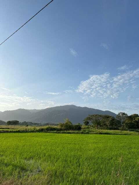 Langkawi: Countryside Bike Tour, Waterfall Swim & Dessert - Who should book, and who should skip this ride