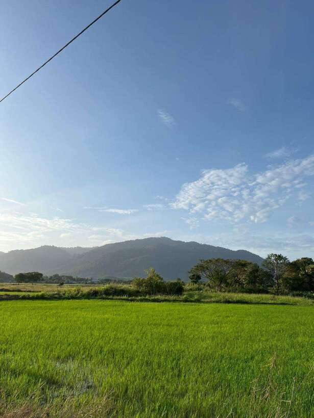 Langkawi: Countryside Bike Tour, Waterfall Swim & Dessert - Getting to JungleWalla, and why the meeting point is simple