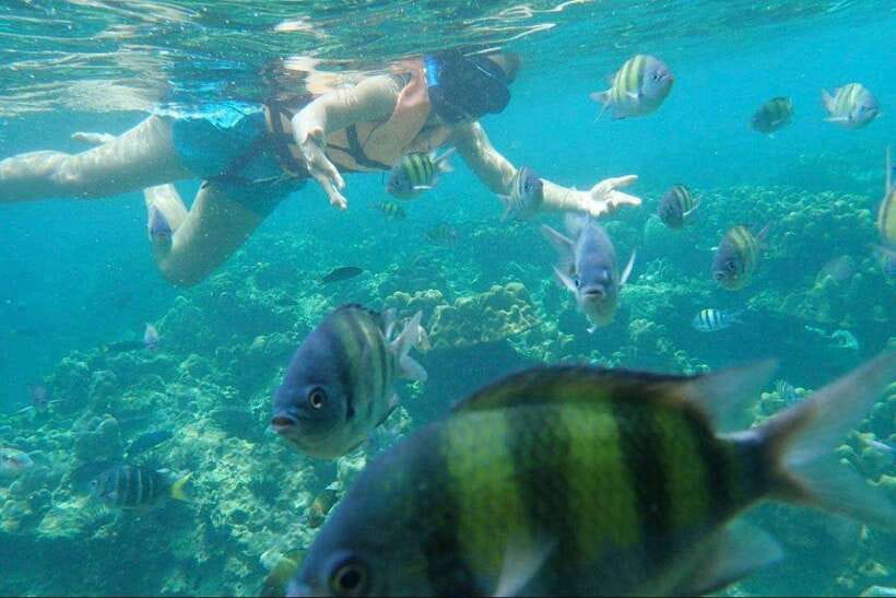 Langkawi: Dangli Island Snorkel and Swim Speedboat Tour - The floating restaurant lunch: simple food, mangrove setting