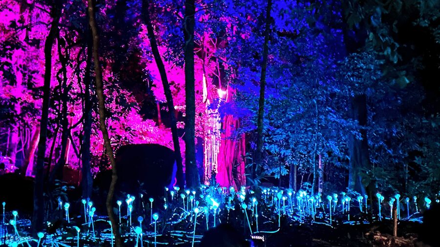 Langkawi: Dream Forest Langkawi Standard Admission Ticket - Who should book this (and who might prefer a different night plan)