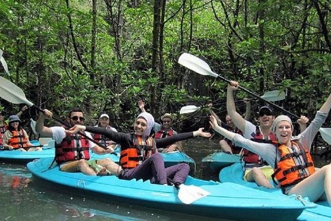 Langkawi: Flexible 6 Hours Tour - Price and value: what $110 covers in real terms