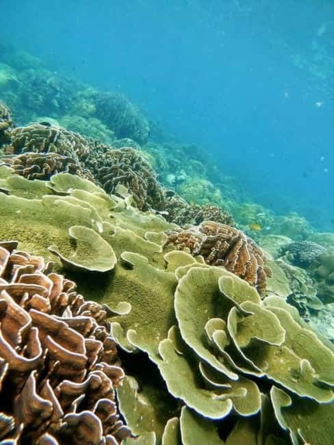 Langkawi: Floating Restaurant & Snorkeling Trip - Key points worth knowing before you go