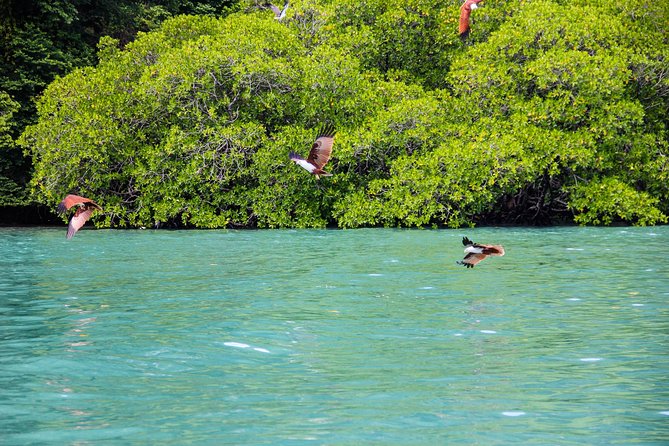 Langkawi Half Day Island Hoping Tour- Sharing basis - Langkawi island-hopping in half a day, with less stress