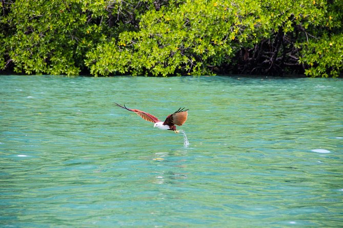 Langkawi Half Day Island Hoping Tour- Sharing basis - Crowd, comfort, and photo tips that save your sanity