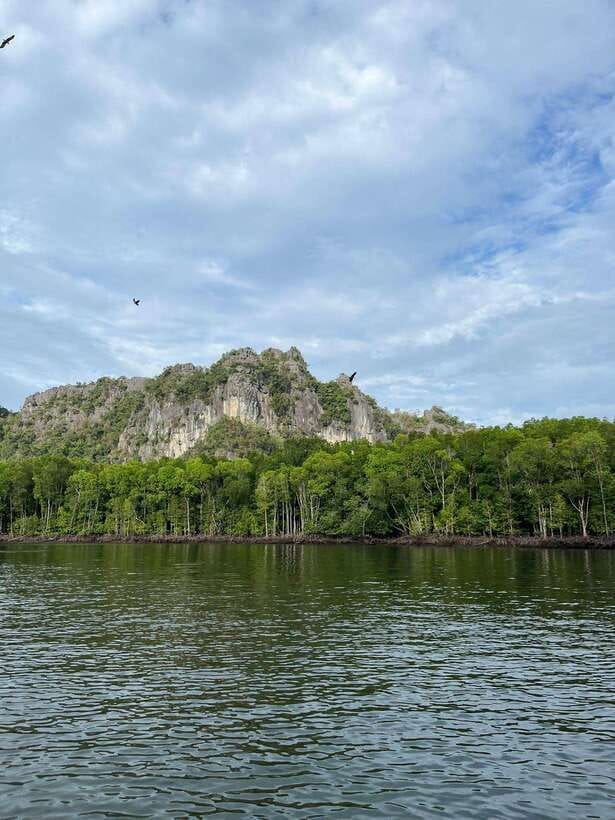 Langkawi: Half-Day Private Kilim River Mangrove Boat Tour - Private boat through Kilim Geoforest Park, in plain terms