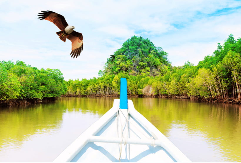 Langkawi: Half- or Full-Day Private Car Tour of Highlights - Should you book this Langkawi private car tour?