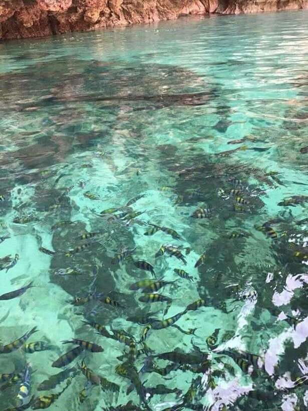 Langkawi Island: Hopping 5 in 1 Grand Tour - Key highlights you should care about