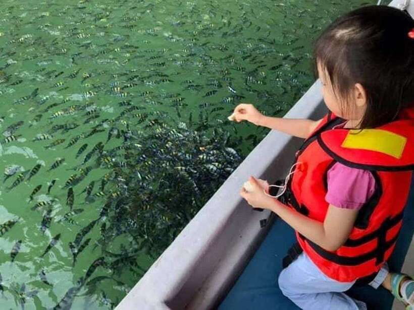Langkawi Island: Hopping 5 in 1 Grand Tour - Price and value around $61 for a 5-hour island day