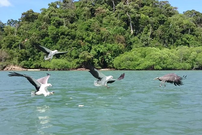 Langkawi Island Hopping Boat Tour with Return Transfer - Getting to the jetty in comfort (and why it matters)