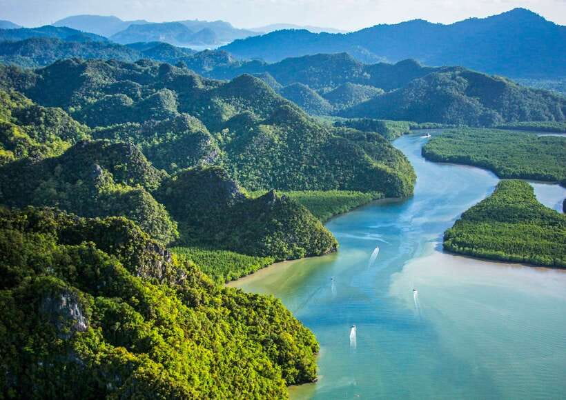Langkawi: Island Hopping Tour - Eagle feeding on Langkawi, and what to look for