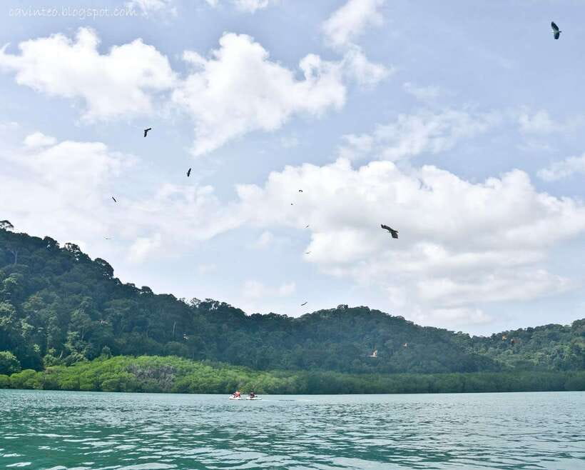 Langkawi: Island Hopping Tour - English support: what to expect from the “instructor”