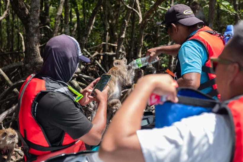 Langkawi: Jet Ski Tour UNESCO Kilim Geopark Free Video - From launch to mangrove river cruise: the pace you need for wildlife