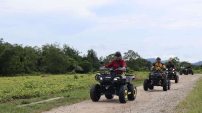 Langkawi Jungle and Waterfall Adventure