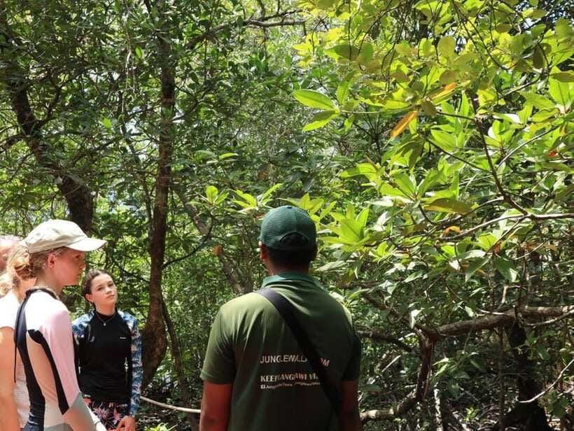 Langkawi: Kayaking Adventure and Swimming - A short on-land break: old charcoal kiln and Pinang Cave