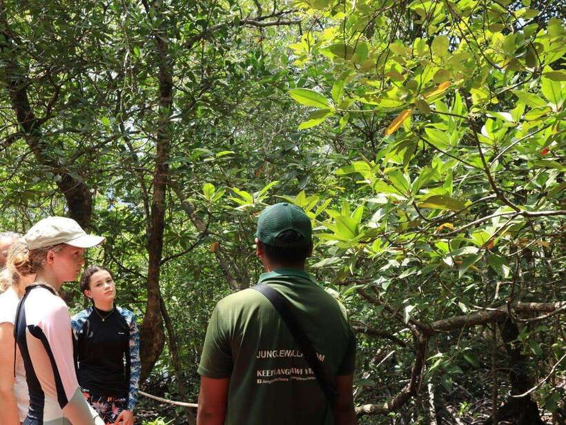 Langkawi: Kayaking Adventure and Swimming - The 10-minute briefing that saves you later