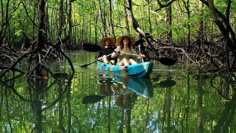 Langkawi : Kilim Geoforest Mangrove Kayak Tour with Lunch - Key things to know before you go