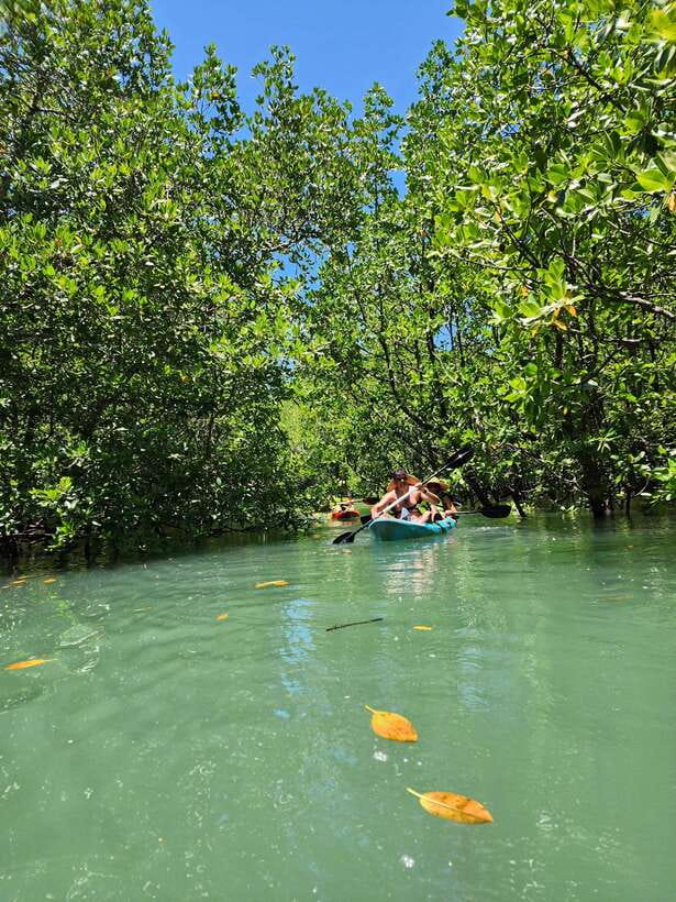 Langkawi : Kilim Geoforest Mangrove Kayak Tour with Lunch - What the guides add (and why their names keep coming up)