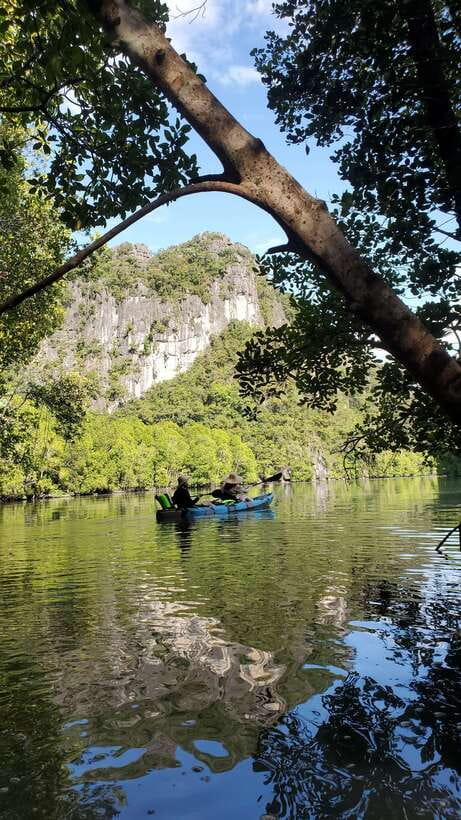 Langkawi : Kilim Geoforest Mangrove Kayak Tour with Lunch - Why this Kilim kayak tour is different from a speedboat