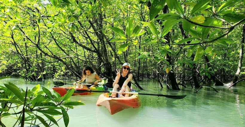 Langkawi : Kilim Geoforest Mangrove Kayak Tour with Lunch - Eagle watching from the water (without the chaos)